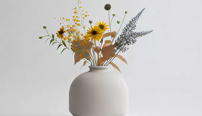 Comment choisir le bon pot pour vos plantes ?