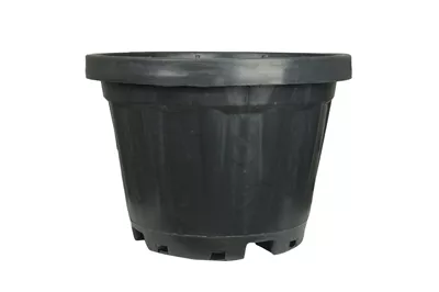 SYS 51