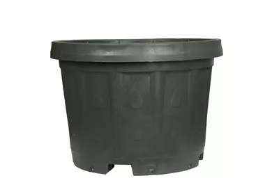 SYS 49