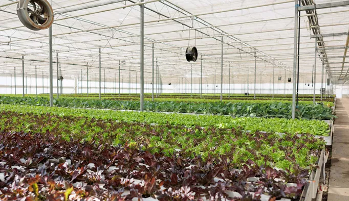 Qu’est-ce qu’un pot pour plants ?