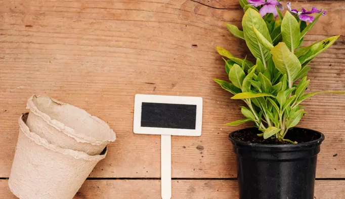 Qu’est-ce qu’un pot recyclé ?