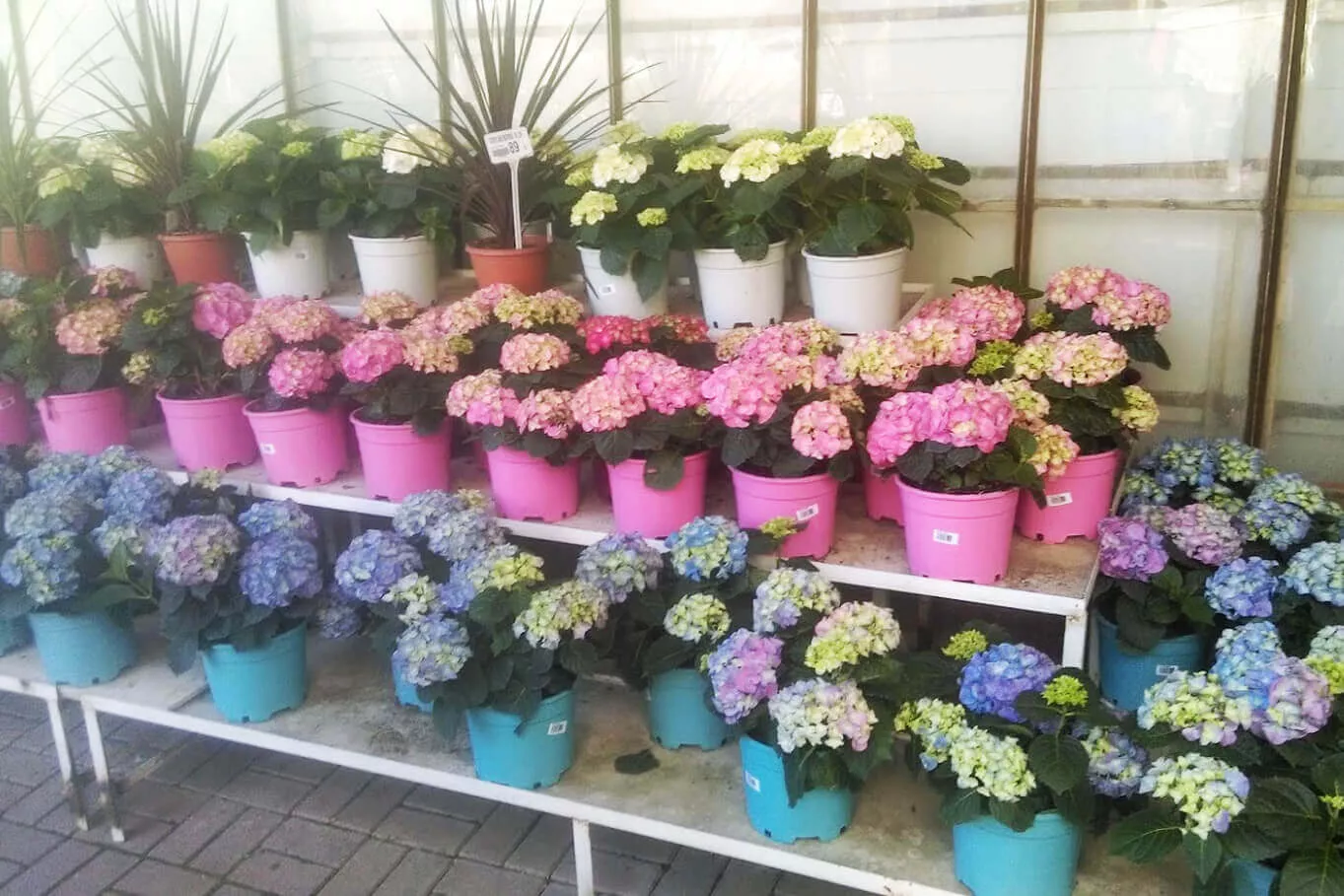 Pots de production pour intérieur et extérieur