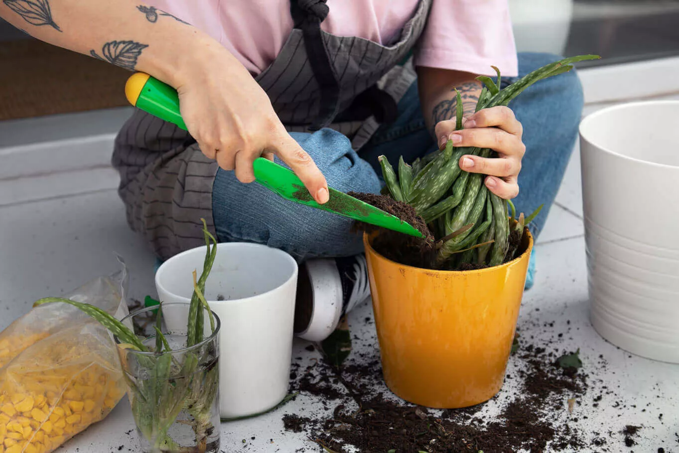 Comment entretenir et nettoyer un pot ?