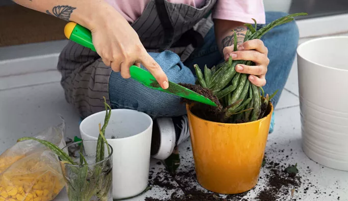 Comment entretenir et nettoyer un pot ?