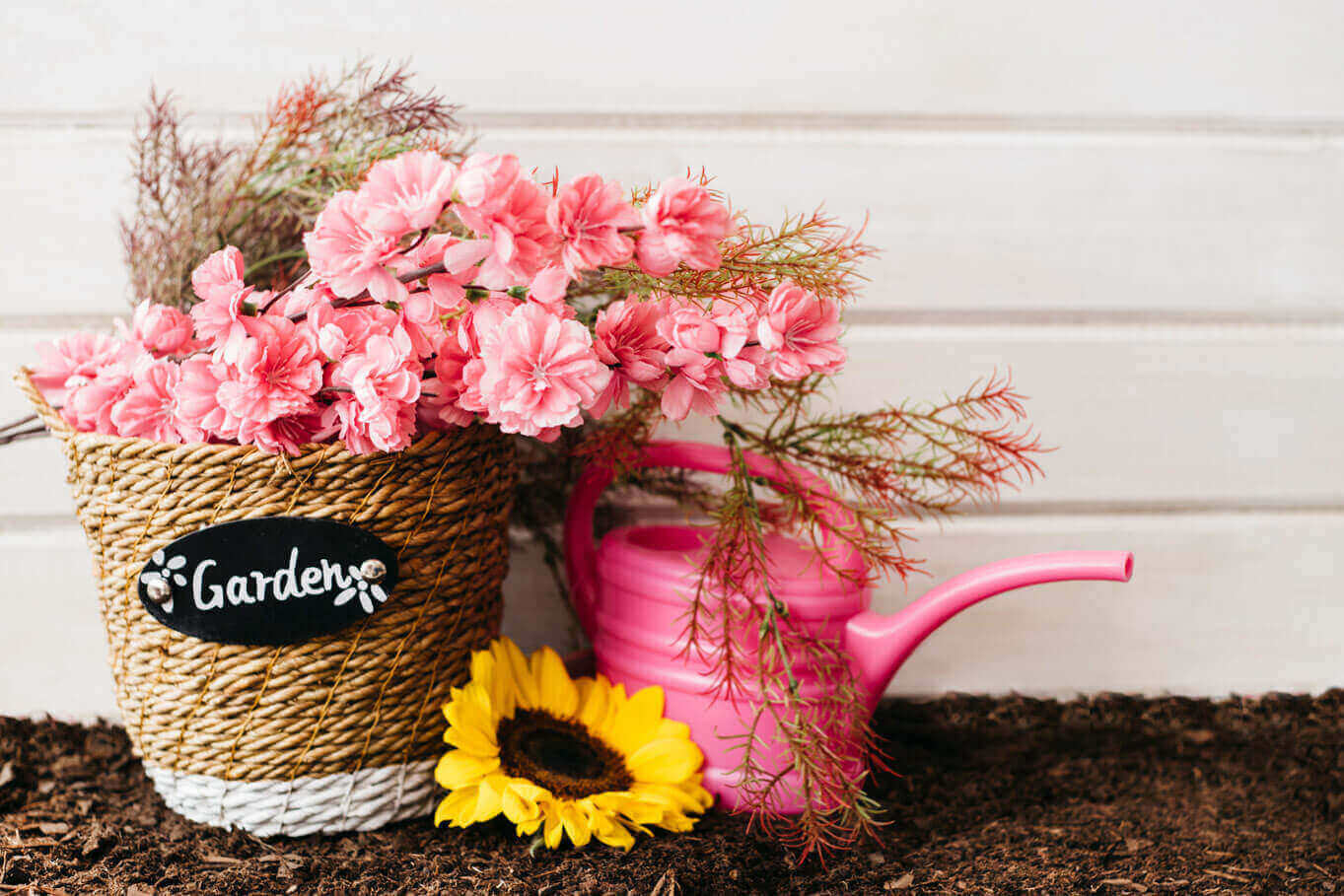 Fleurs en pot pour l’été